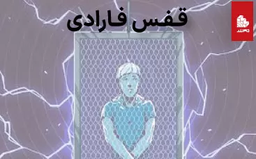 قفس فارادی چیه؟ چه کاربردی داره؟