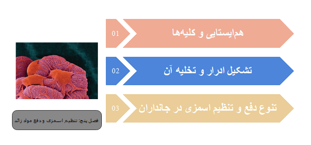 فصل پنج زیست پایه دهم: تنظیم اسمزی و دفع مواد زائد