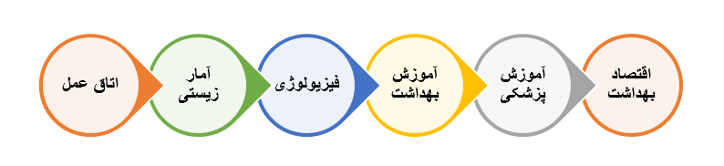 رشتههای ادامه تحصیل رشته هوشبری