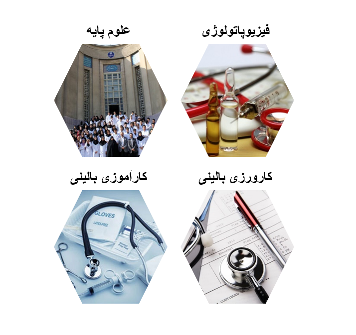 مراحل رشته پزشکی