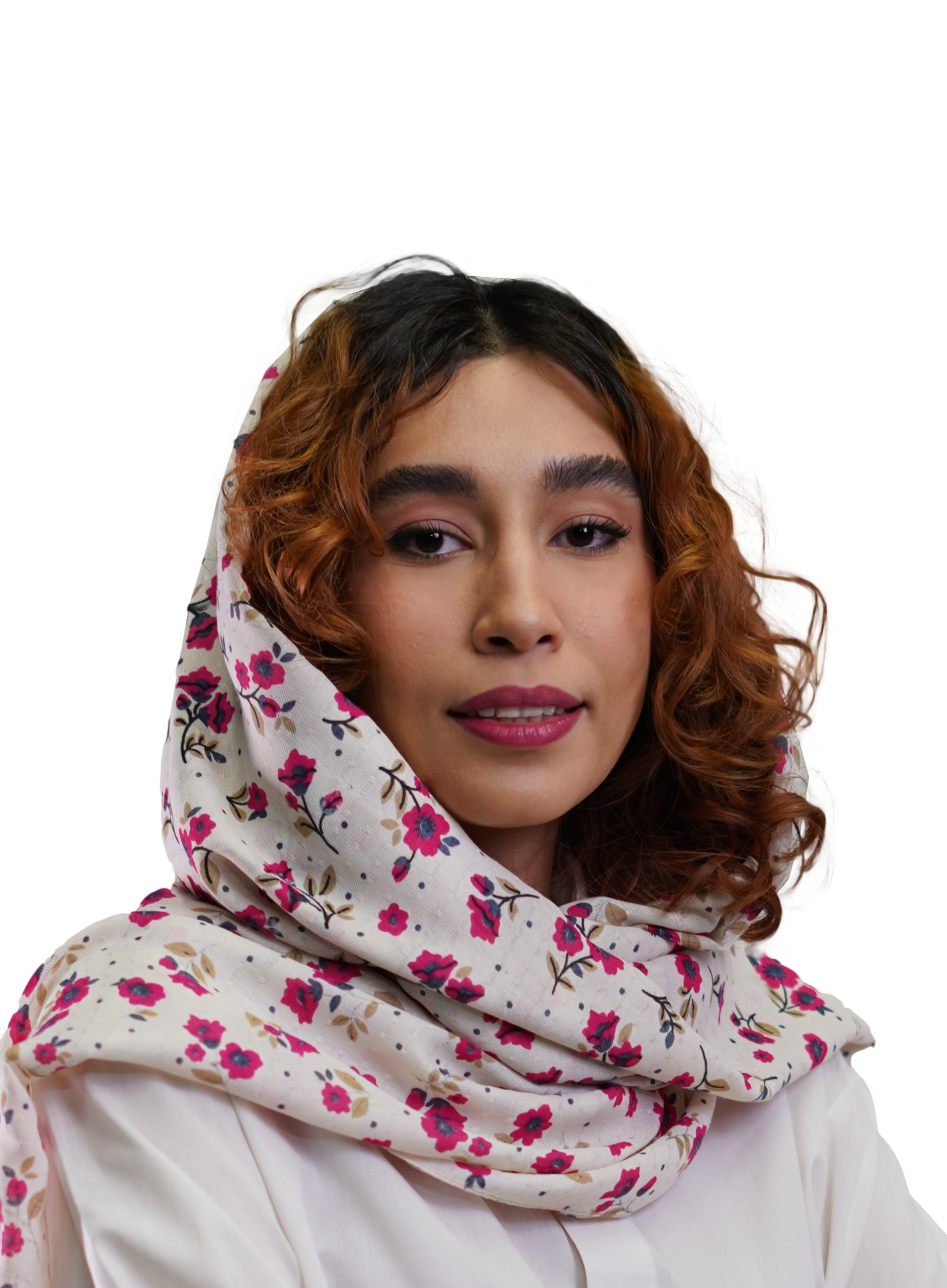 استاد پرنیان موسوی